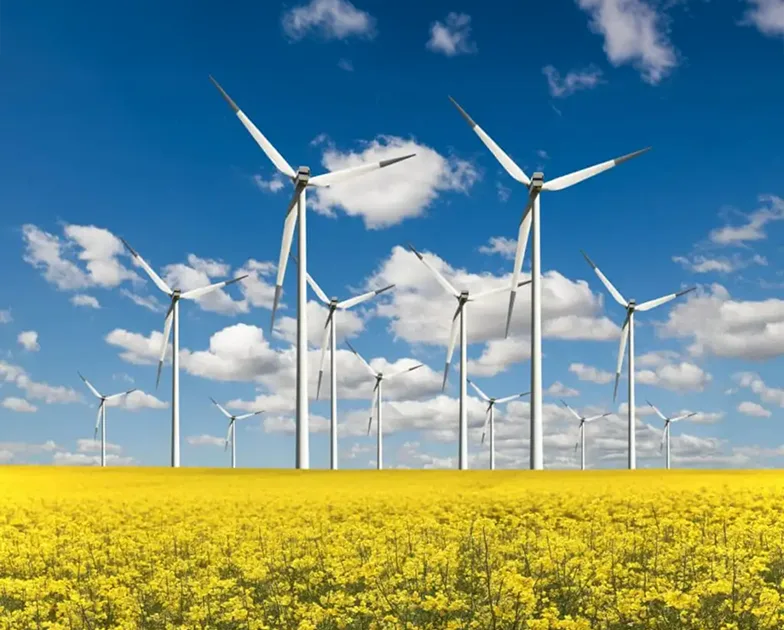Protektel-case-study-projekt-skalibrowania-farmy-wiatrowej